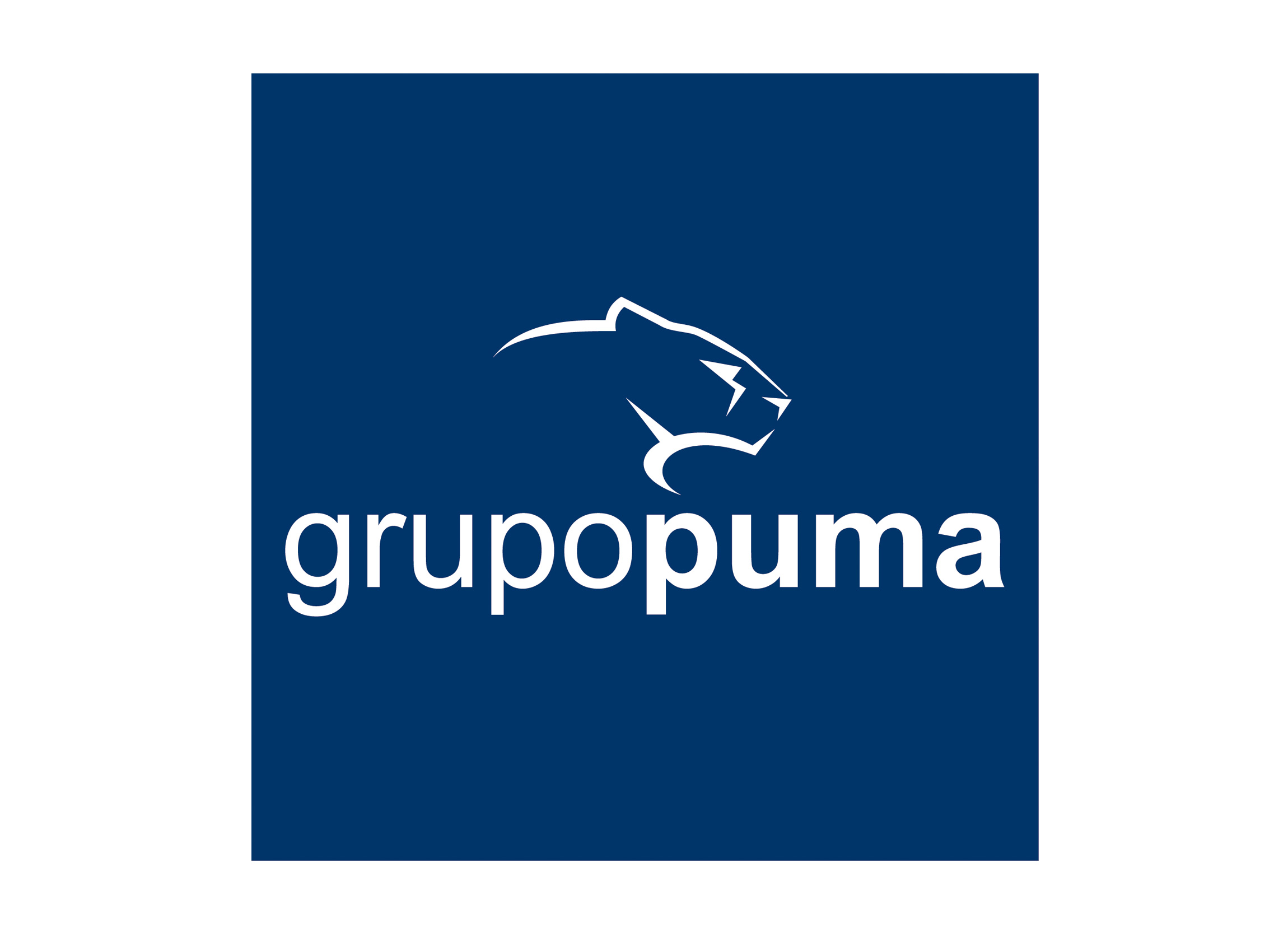 GRUPO PUMA