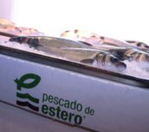 Nace Pescado de Estero