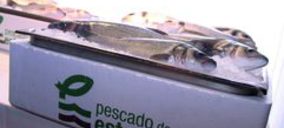 Nace Pescado de Estero