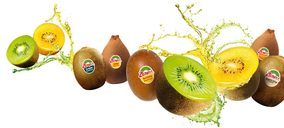 Zespri inicia la temporada de los kiwis cultivados en Europa