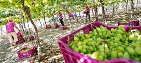 Uvasdoce testa el cultivo de cereza