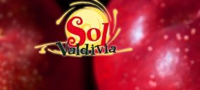 Sol de Valdivia levantará una fábrica para conservas de fruta