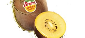 Zespri prevé incrementar su volumen comercializado