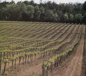 Extremadura gana a Cataluña la batalla del Cava