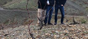 Familia Torres lanza su vino más exclusivo de la DOQ Priorat