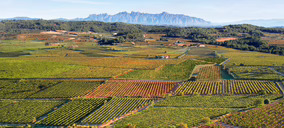 Maset amplía su proyecto vinícola con 40 ha adicionales en el Penedès y un nuevo centro logístico