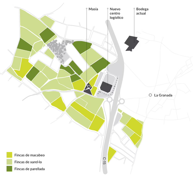 Maset amplía su proyecto vinícola con 40 ha adicionales en el Penedès y un nuevo centro logístico