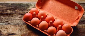 Informe 2024 del sector de Huevos en España