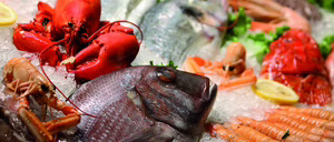 Informe 2024 del sector de pescado y marisco congelado
