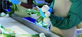La hortofrutícola Agrupa, del fondo Solum Partners, crece con la integración de una especialista en cebolla