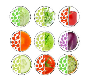 Wonder Veggies ultima el lanzamiento de una inédita gama de verduras frescas enriquecidas con probióticos