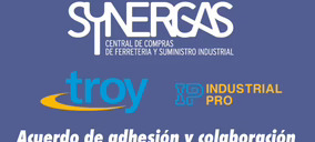 Synergas se alía con Industrial Pro y abandona la central NCC