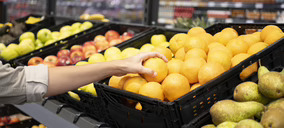 Aldi comprará este año 40.000 toneladas de fruta a proveedores españoles