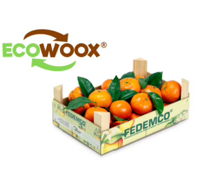 Fedemco inicia la internacionalización de la certificación ‘Ecowoox’