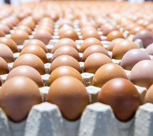 El consumo de huevos volverá a crecer más de un 7% y se situará cerca de los 436 Mkg