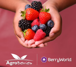 Agroberries adquiere BerryWorld y crea un gigante en el sector de frutos rojos