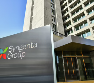 Koipesol Semillas y Syngenta se consolidan como una sola fuerza