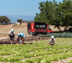 Frutas y Verduras Eladio planea nuevos objetivos de expansión