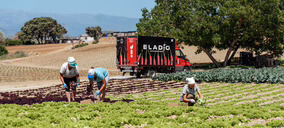 Frutas y Verduras Eladio planea nuevos objetivos de expansión