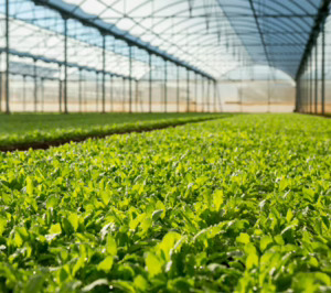 Arranca el proyecto de innovación VECAIPA para optimizar los procesos agrícolas en cultivo protegido