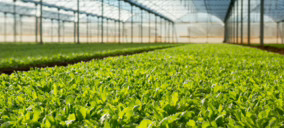 Arranca el proyecto de innovación VECAIPA para optimizar los procesos agrícolas en cultivo protegido