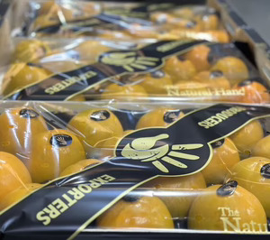 Iberian Premium Fruits integra a la especialista en kaki The Natural Hand