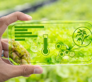 ¿Qué compañías son las principales dinamizadoras del ecosistema foodtech nacional?