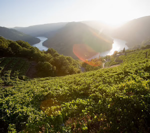 La Xunta ofrece ayudas a los viticultores de la DO Ribeira Sacra