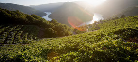 La Xunta ofrece ayudas a los viticultores de la DO Ribeira Sacra