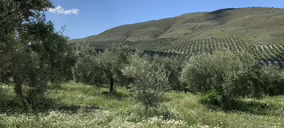 Arranca Agriregencarbon con una nueva metodología para medir el carbono secuestrado en los suelos